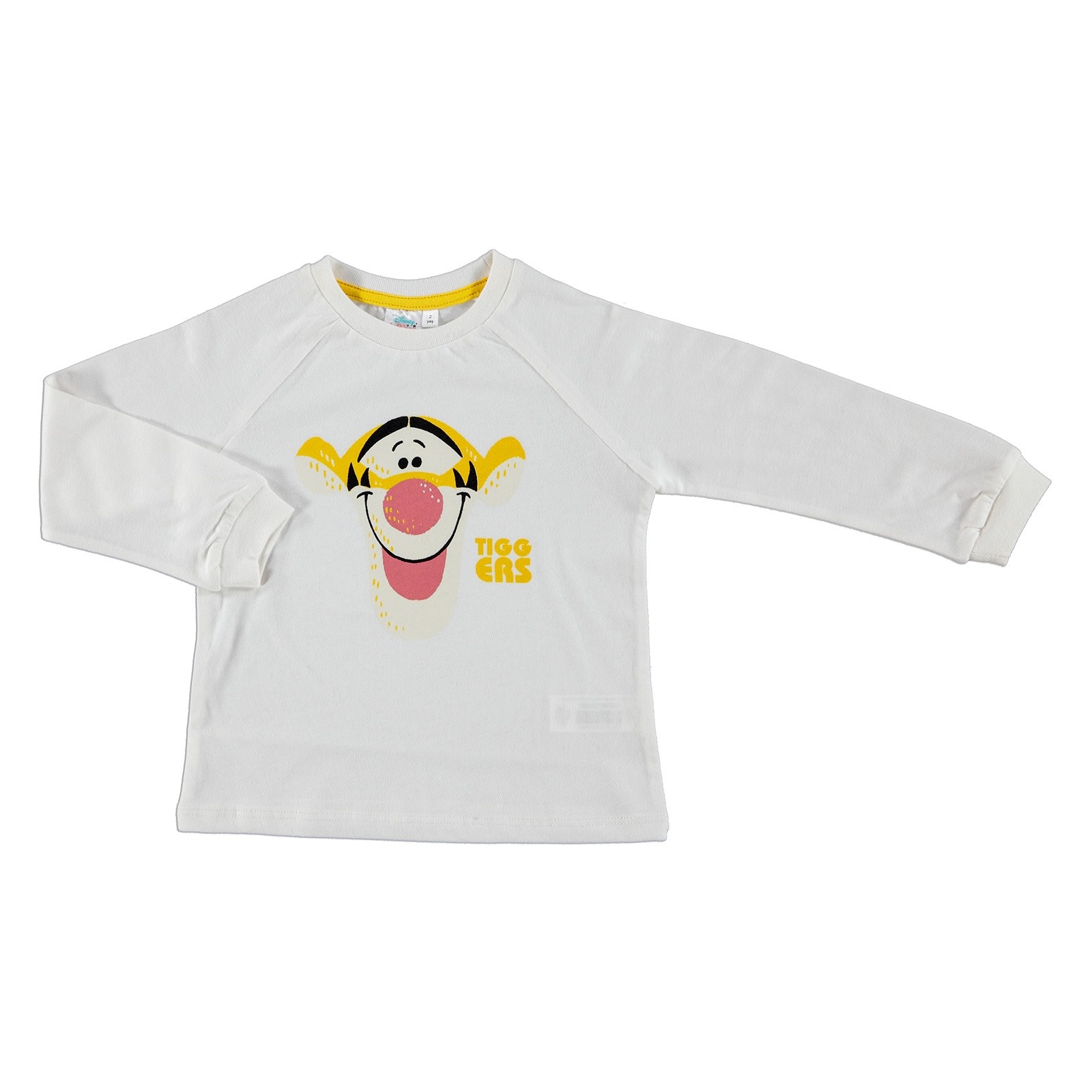 Disney Winnie The Pooh Licensed Tiger Printed Sweatshirt