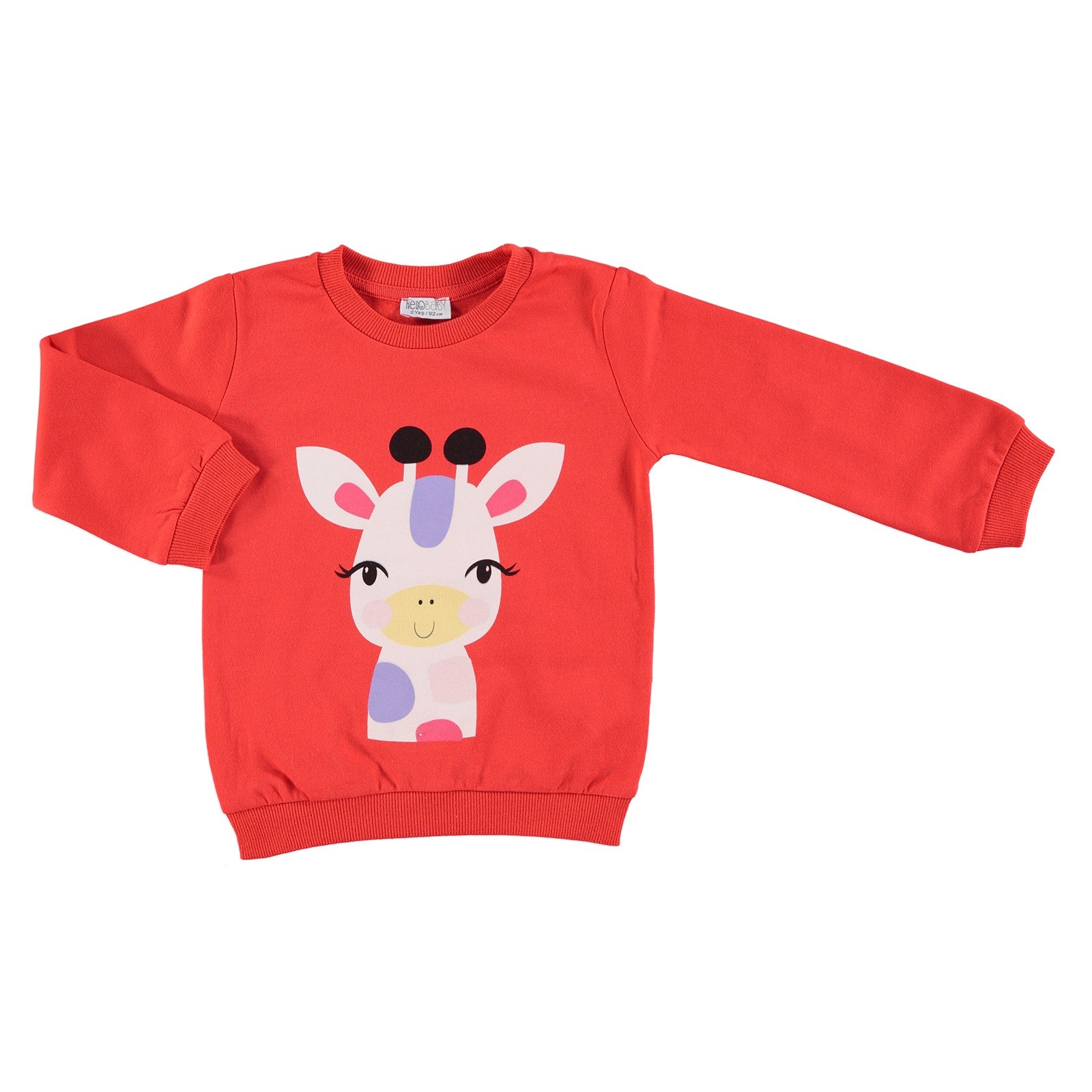 HelloBaby Printed Basic Baby Long Sleeve Sweatshirt