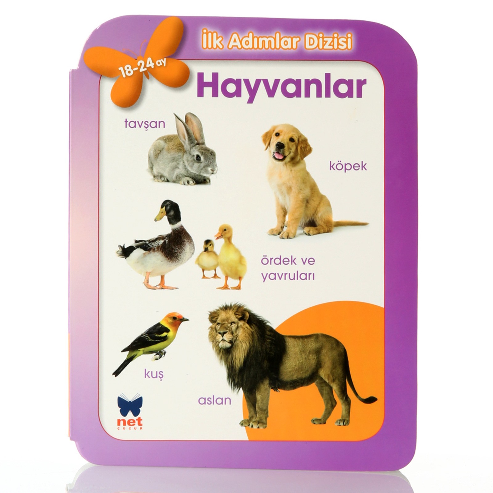 NET Turkish First Steps Book